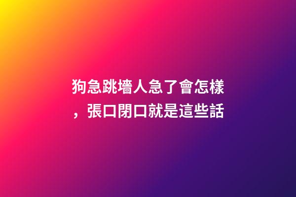 狗急跳墻人急了會怎樣，張口閉口就是這些話-第1張-觀點-玄機派